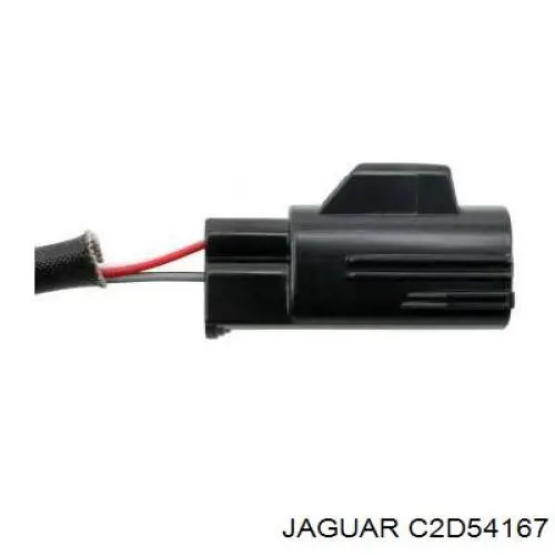 C2D54167 Jaguar