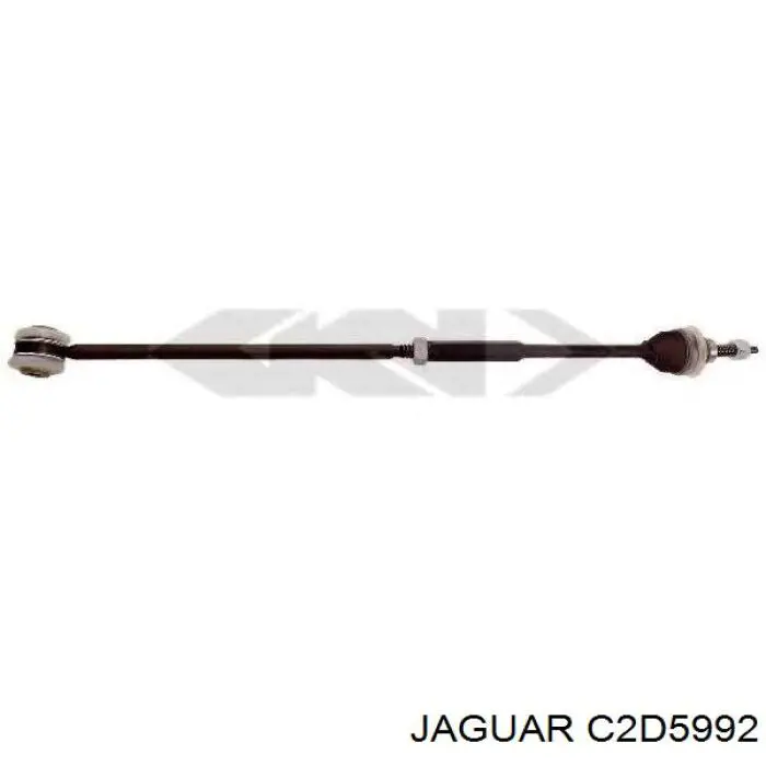 C2D5992 Jaguar