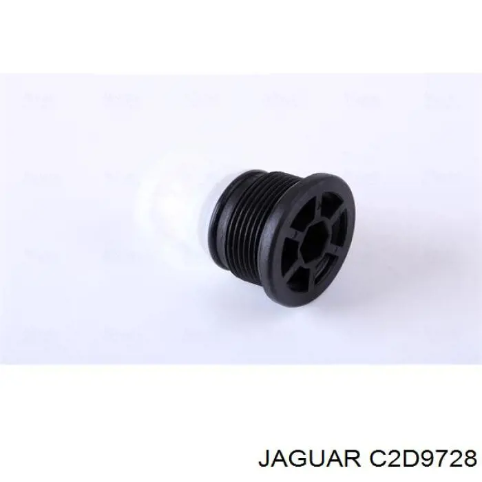 C2D9728 Jaguar