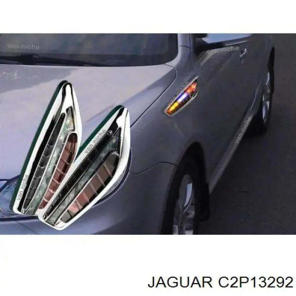 C2D47174 Jaguar