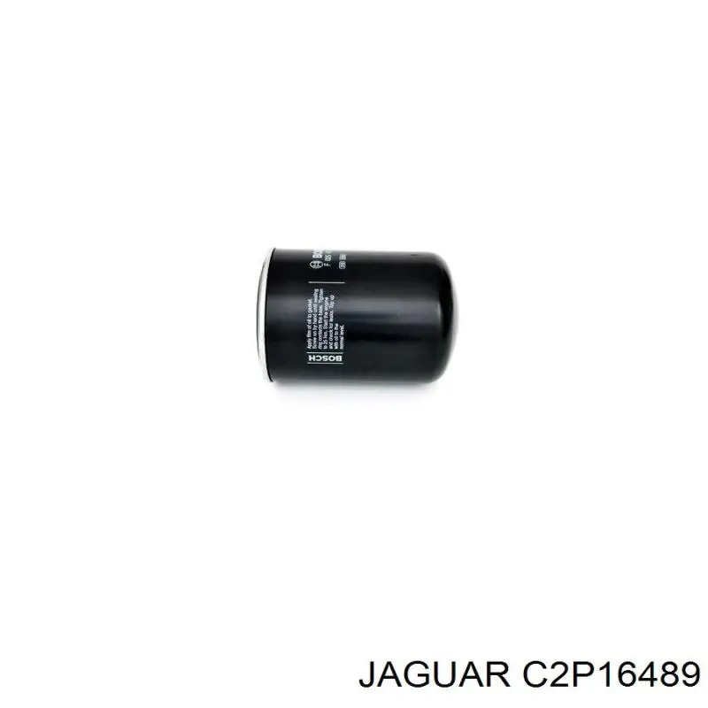 C2P16489 Jaguar inyector