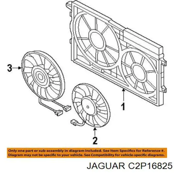 C2P16825 Jaguar