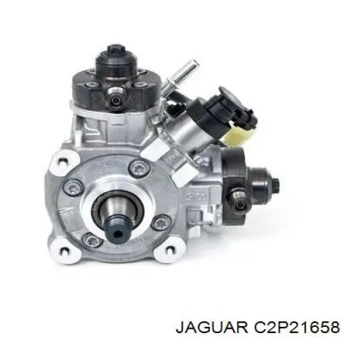 C2P21658 Jaguar