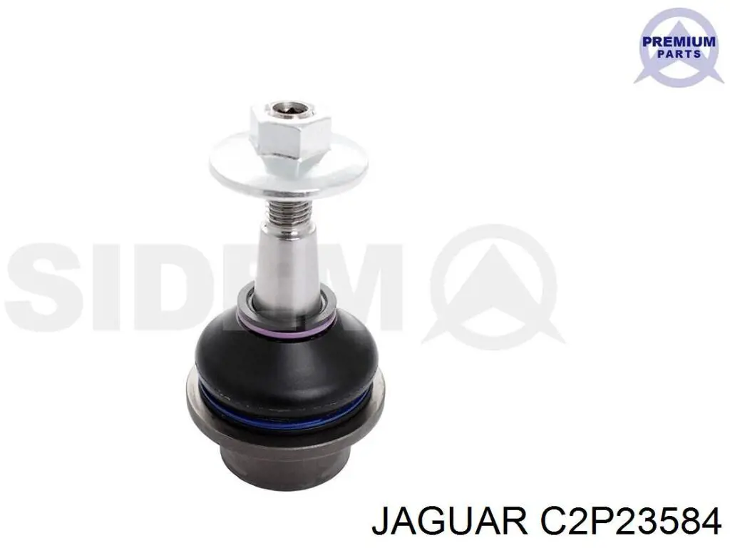 C2P16503 Jaguar