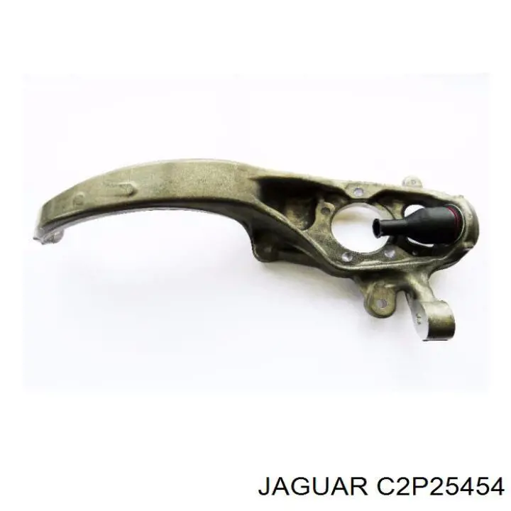 C2P25454 Jaguar