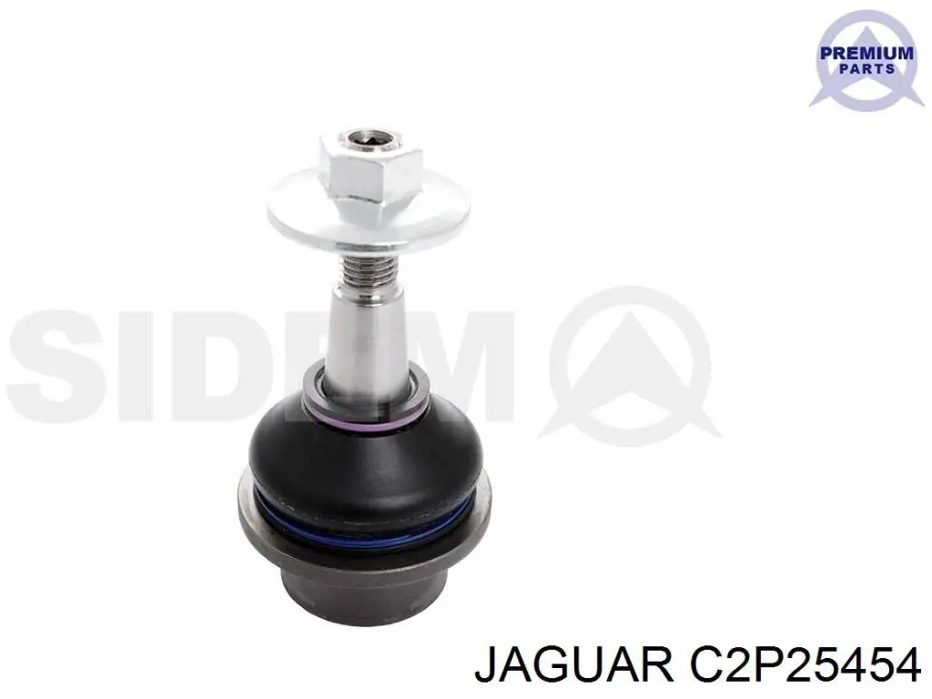 C2P25454 Jaguar Mangueta delantera izquierda