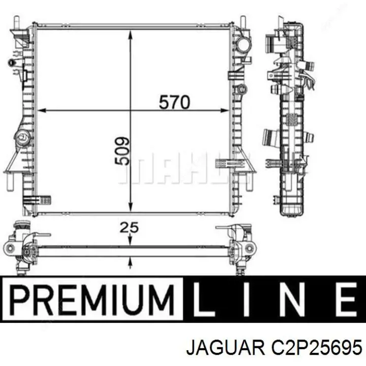 C2P25695 Jaguar