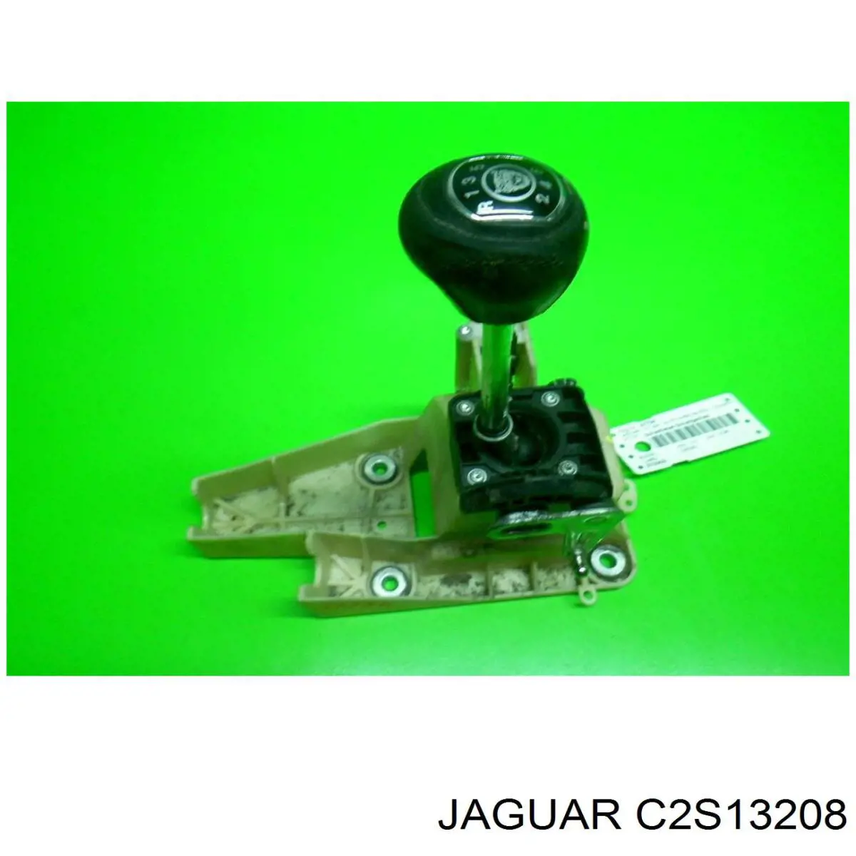 C2S13208 Jaguar