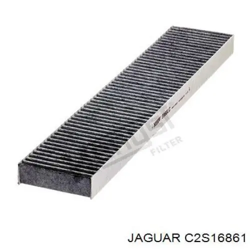 C2S16861 Jaguar Filtro antipolen