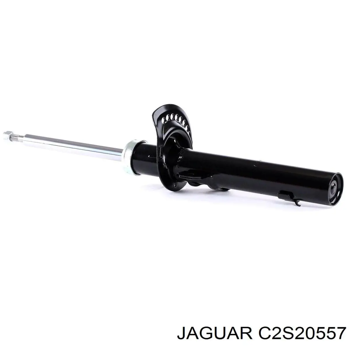 Amortiguador delantero Jaguar X-type CF1