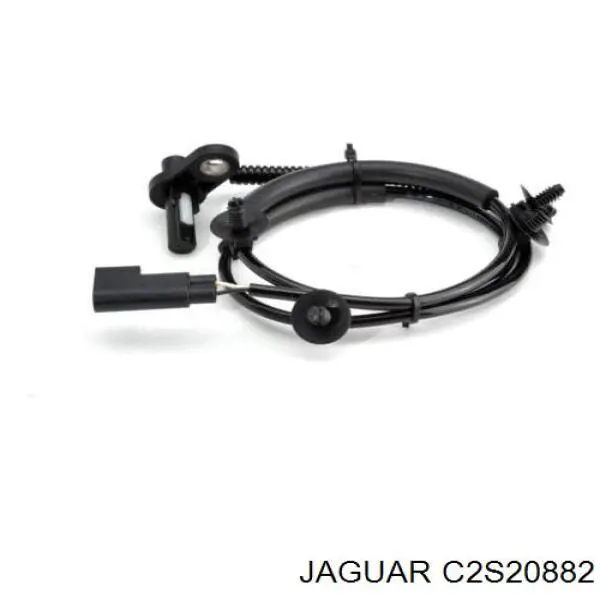 C2S20882 Jaguar