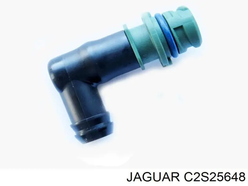 C2S25648 Jaguar
