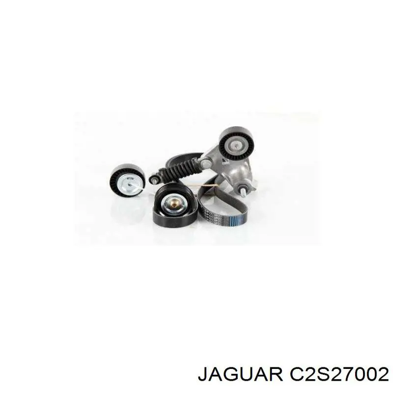 C2S27002 Jaguar 