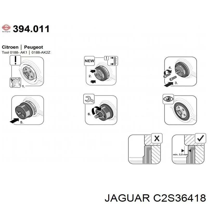 C2S36418 Jaguar