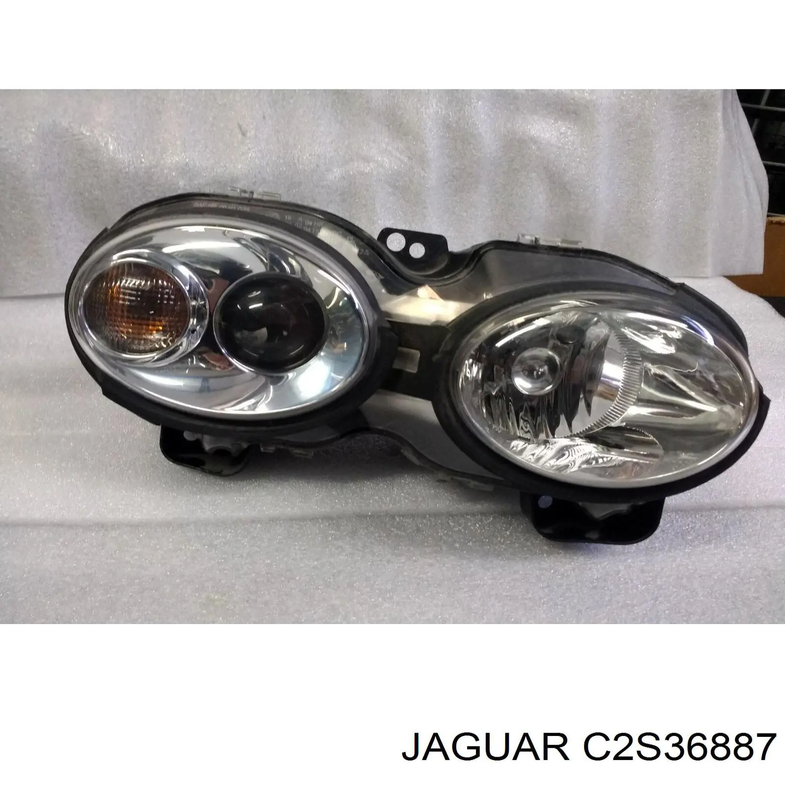 C2S20524 Jaguar