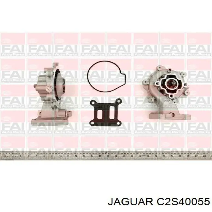 C2S40055 Jaguar bomba de agua, completo con caja