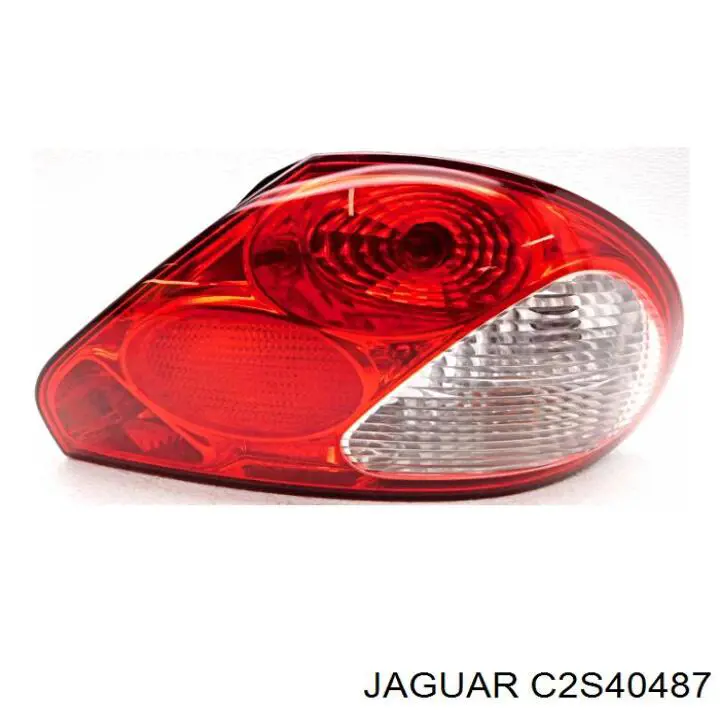 C2S40487 Jaguar