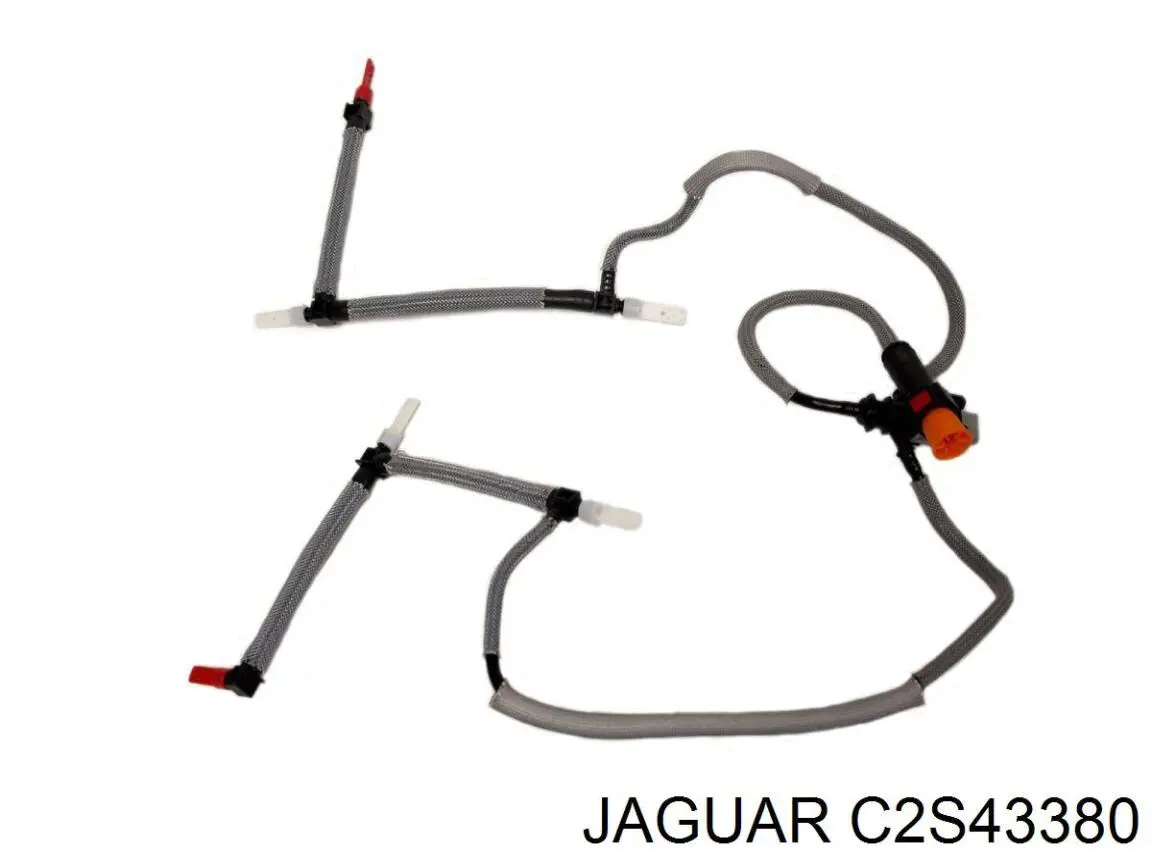 C2S43380 Jaguar