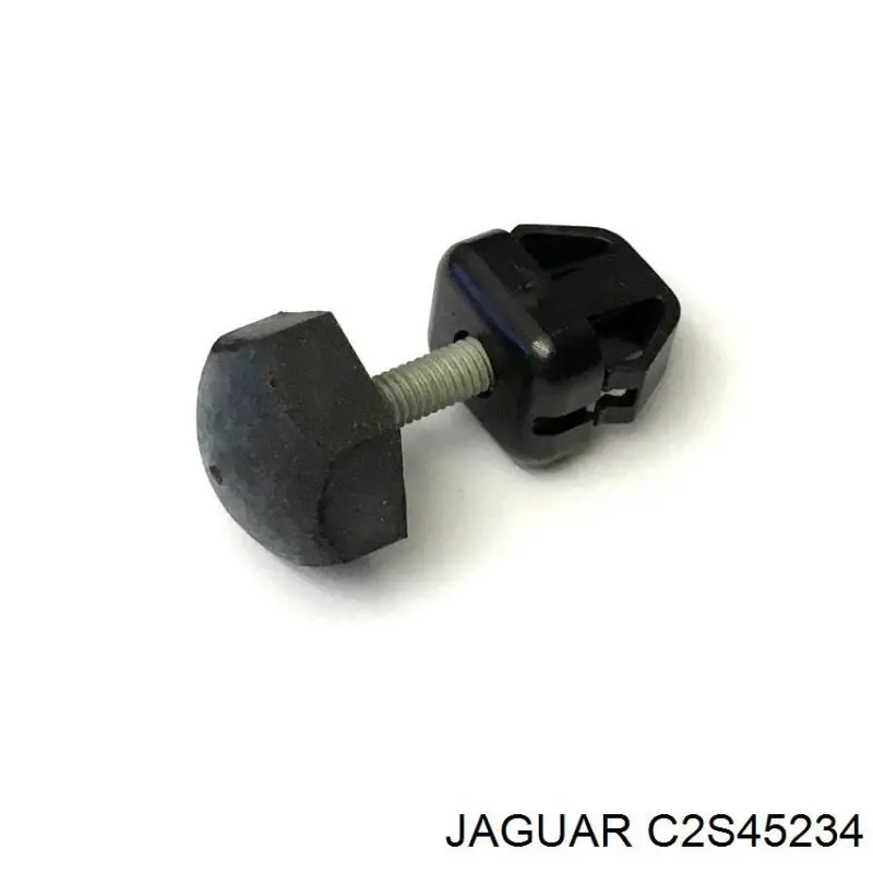 C2S45234 Jaguar