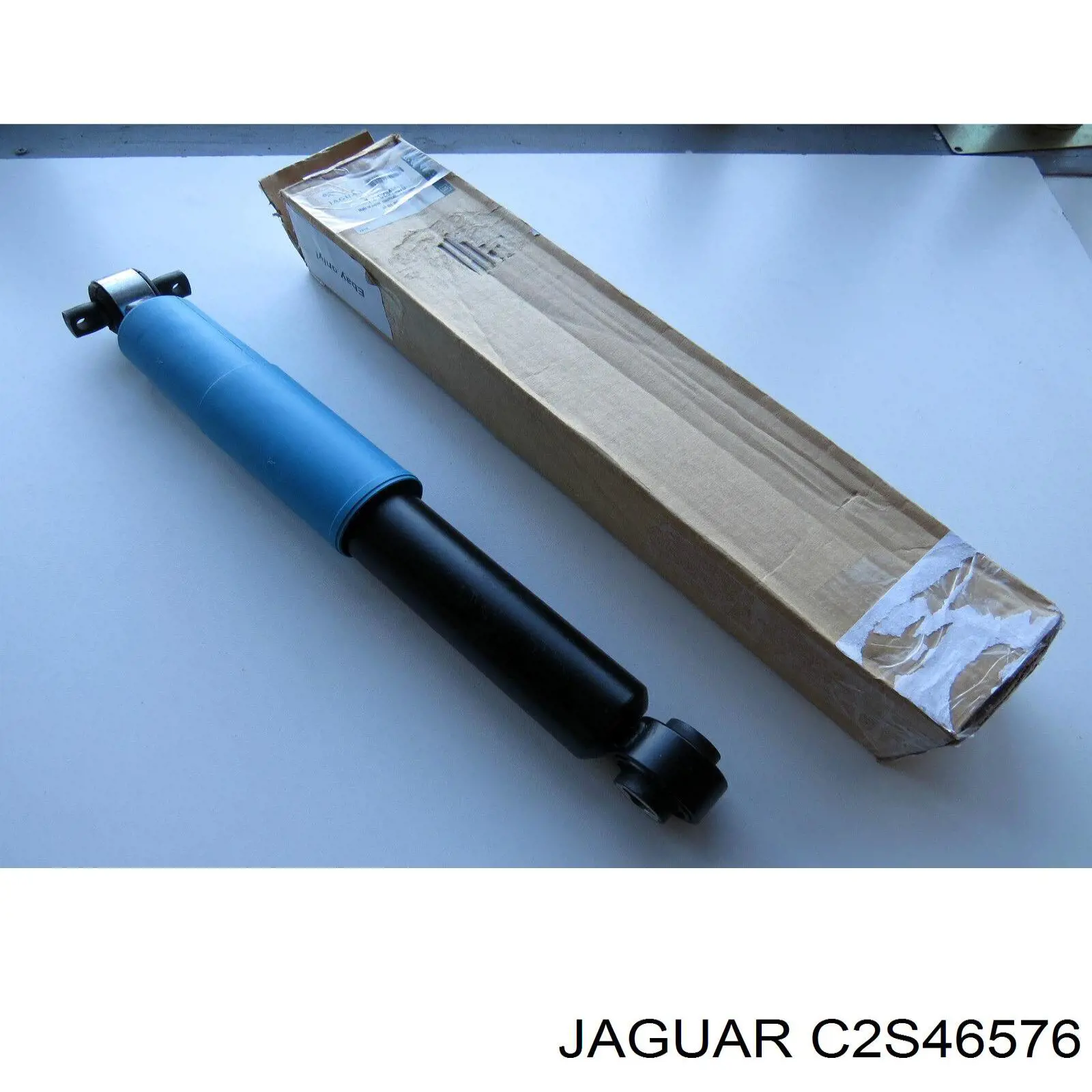 C2S46576 Jaguar
