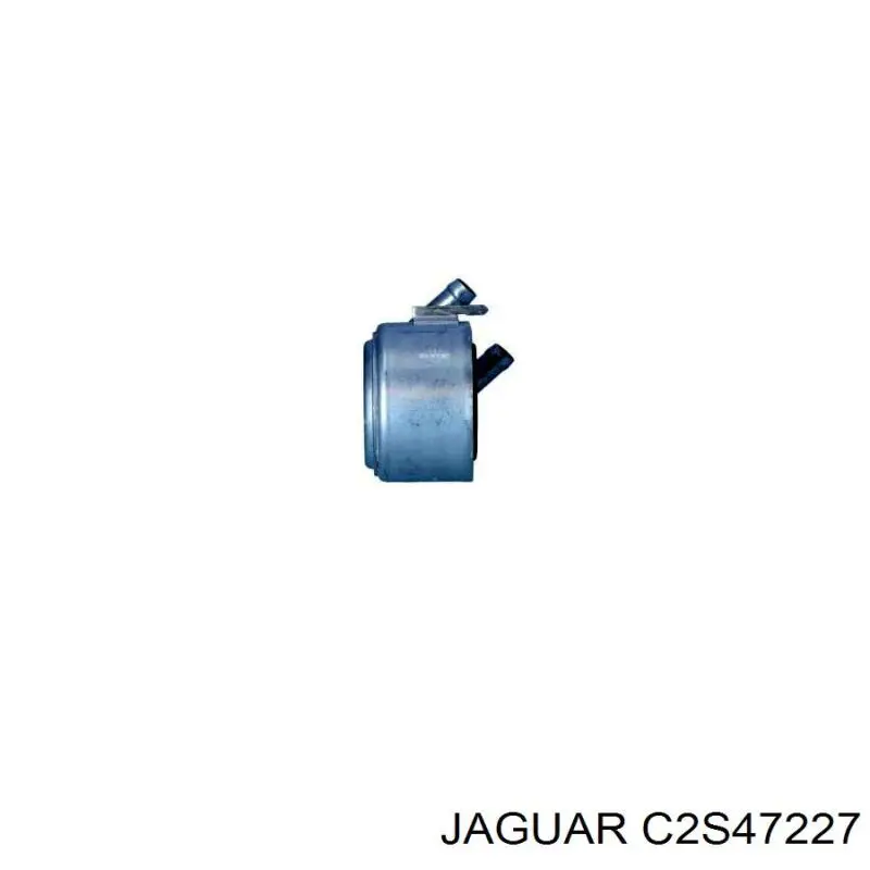 C2S47227 Jaguar