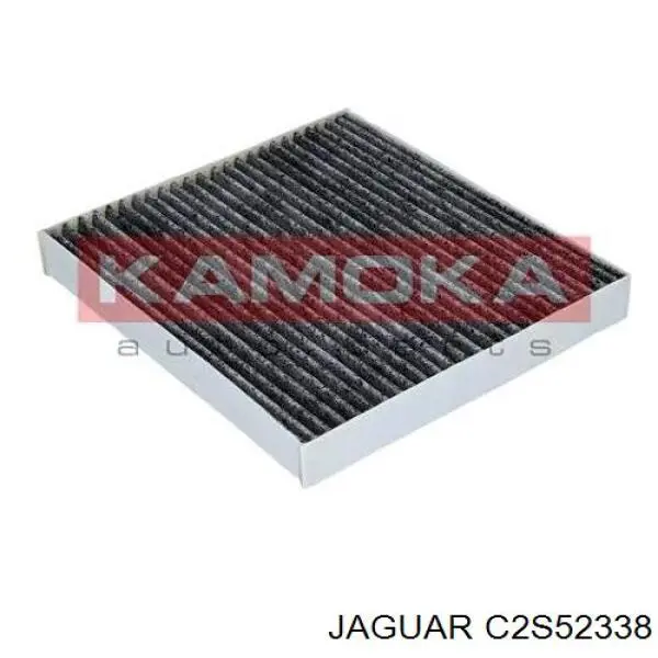 C2S52338 Jaguar Filtro antipolen