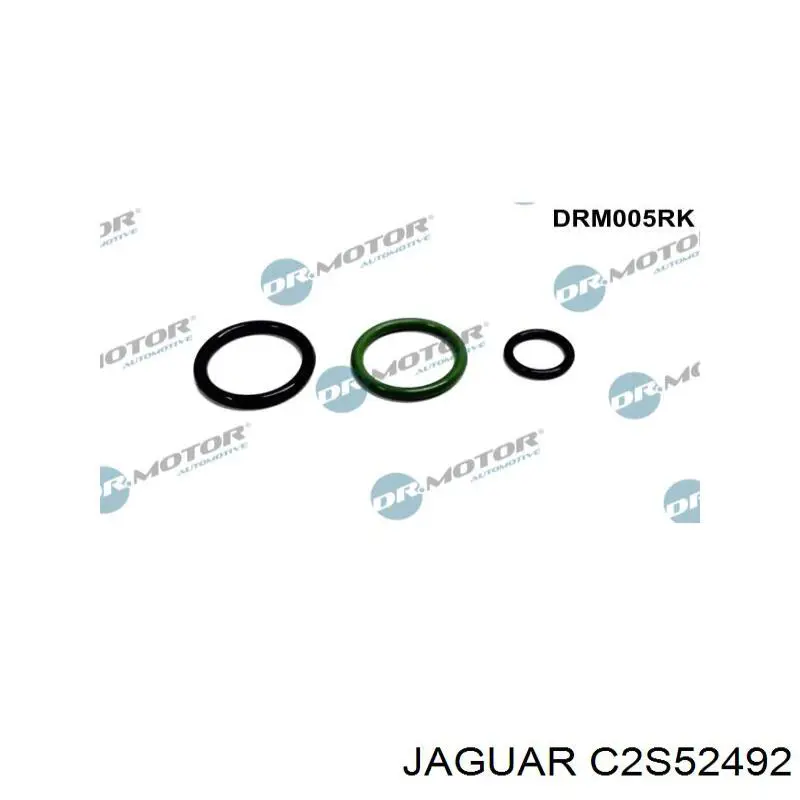 C2S52492 Jaguar