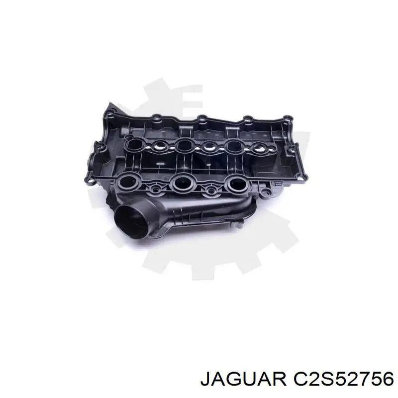 C2S52756 Jaguar