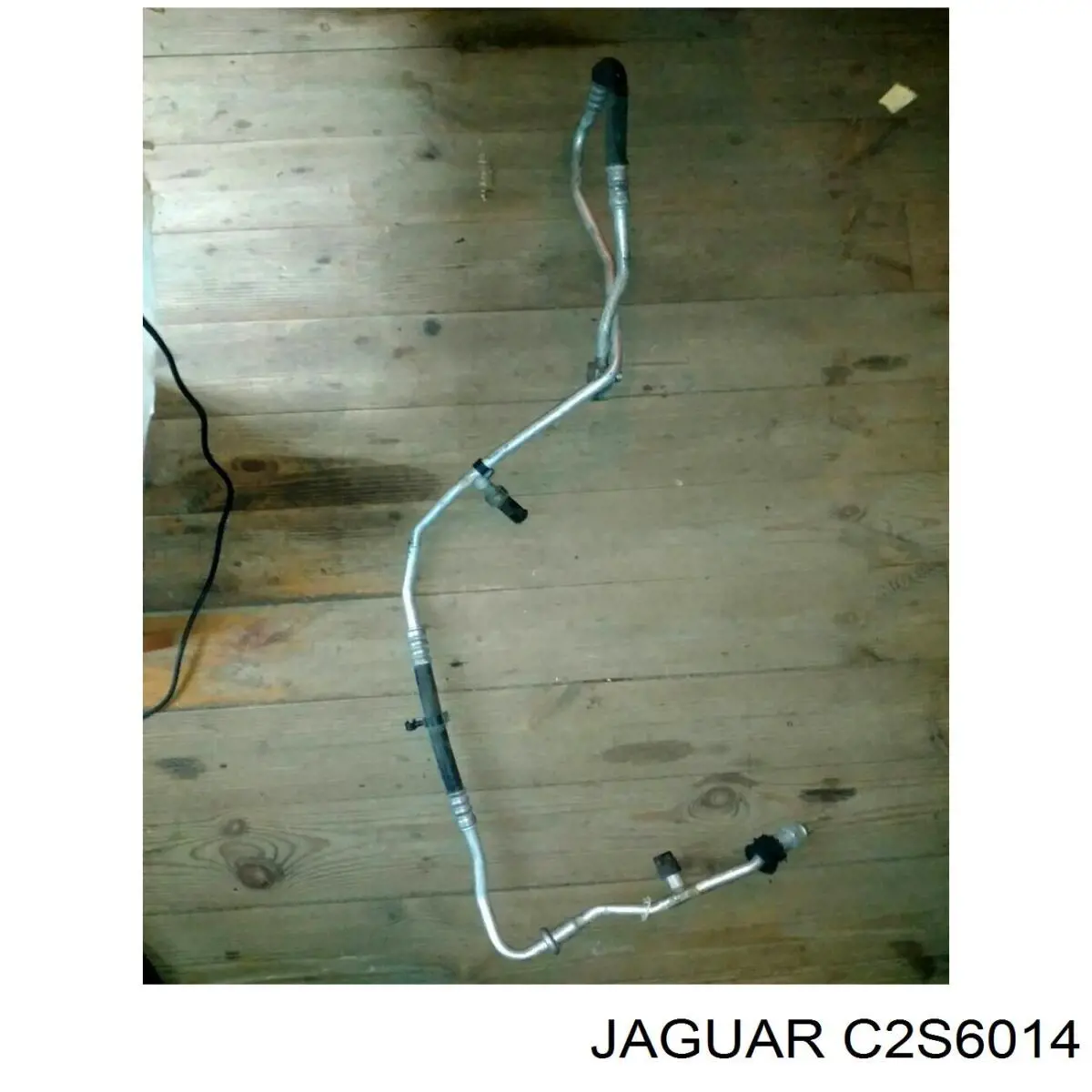 C2S25548 Jaguar