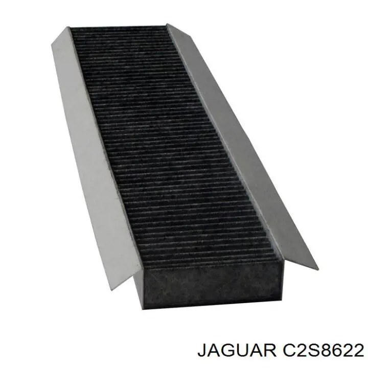 C2S8622 Jaguar Filtro antipolen