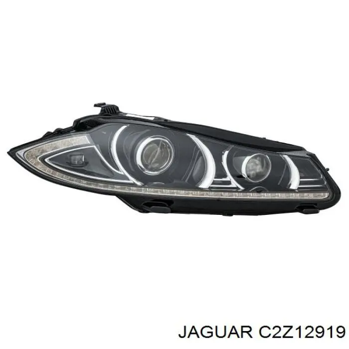 C2Z26706 Jaguar