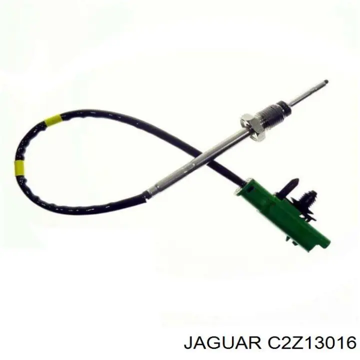 C2Z13016 Jaguar