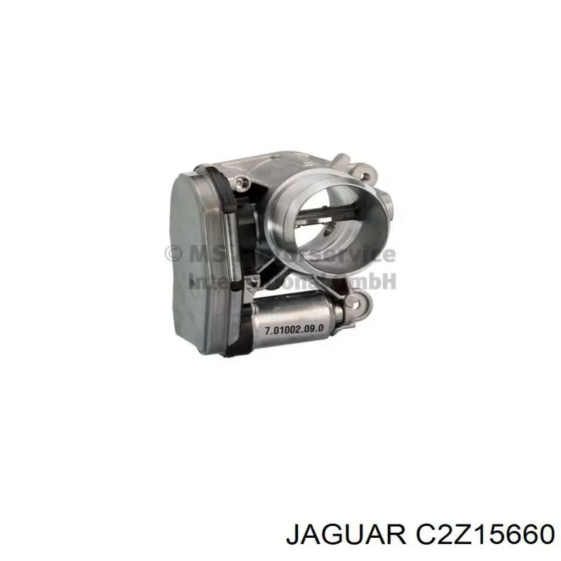 Comprar C2Z15660 Jaguar Cuerpo de mariposa