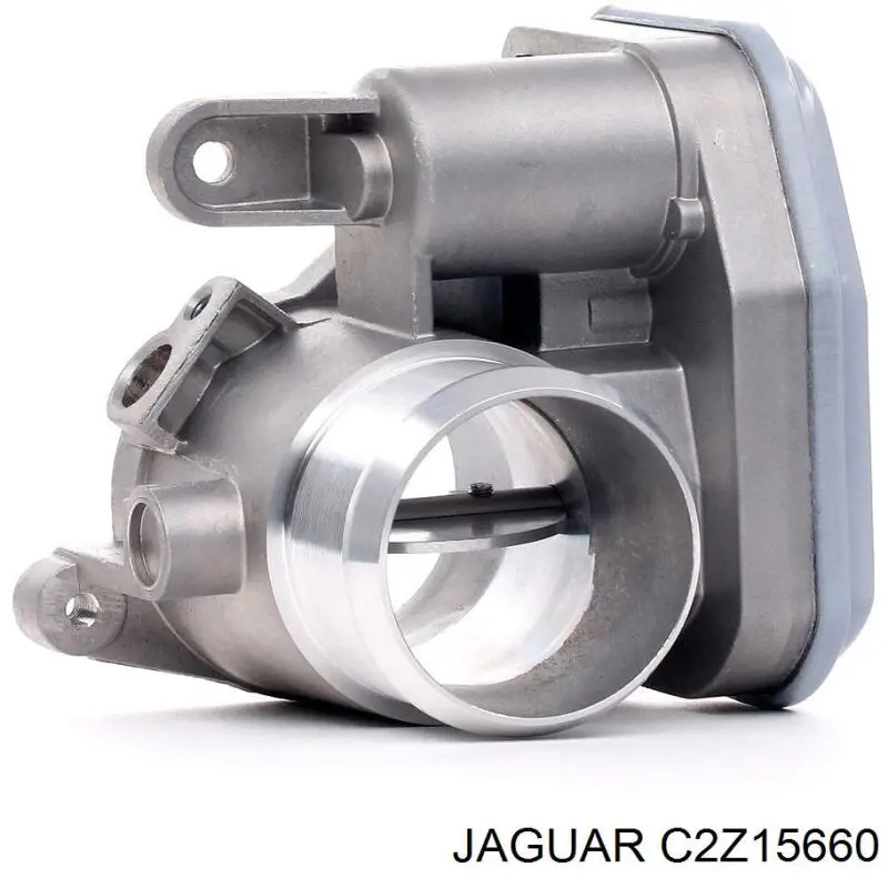 C2Z15660 Jaguar Mariposa de admisión