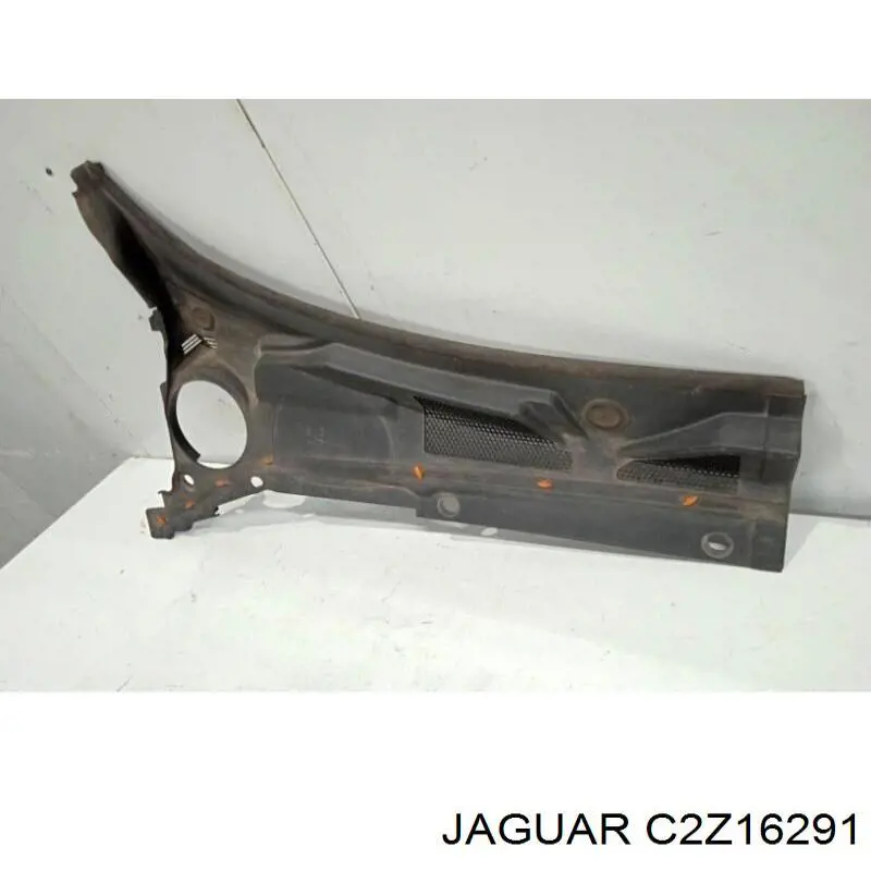 C2Z16291 Jaguar