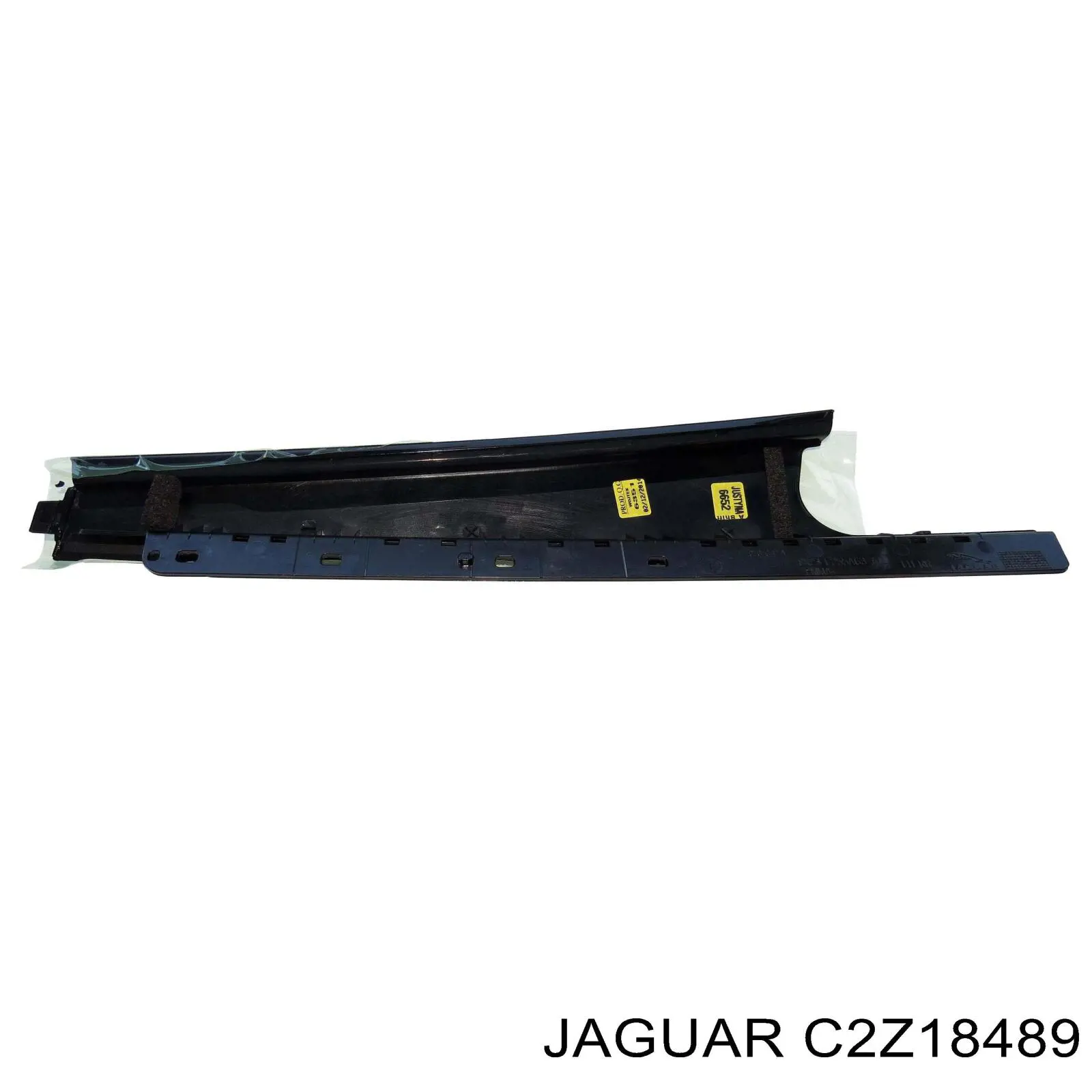 C2Z18489 Jaguar