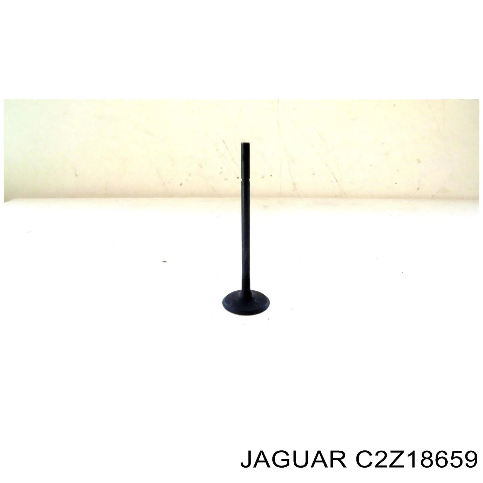 C2Z18659 Jaguar