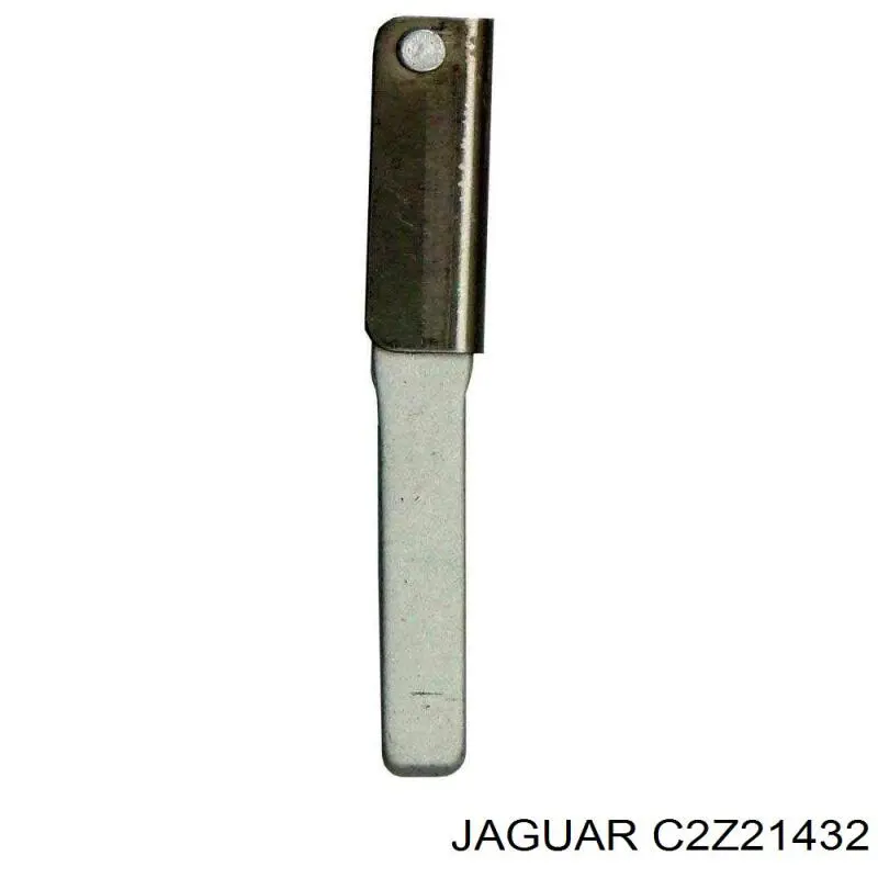 C2Z21432 Jaguar