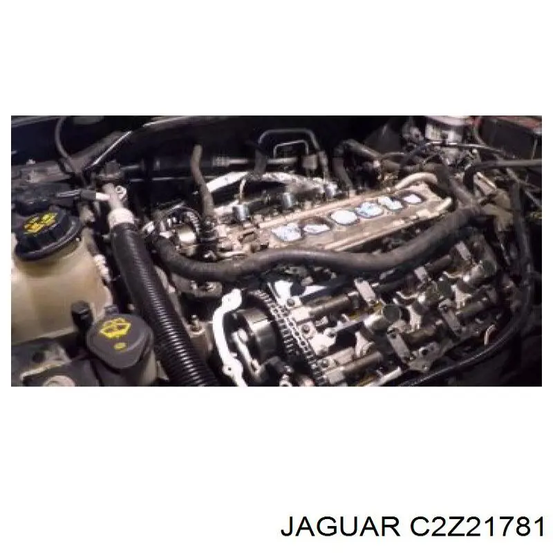 Bombeadora de agua Jaguar AJ812119 precio, desde 54,40 EUR