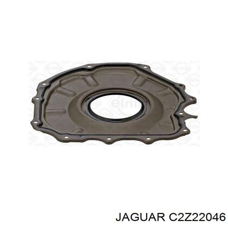 C2Z22046 Jaguar