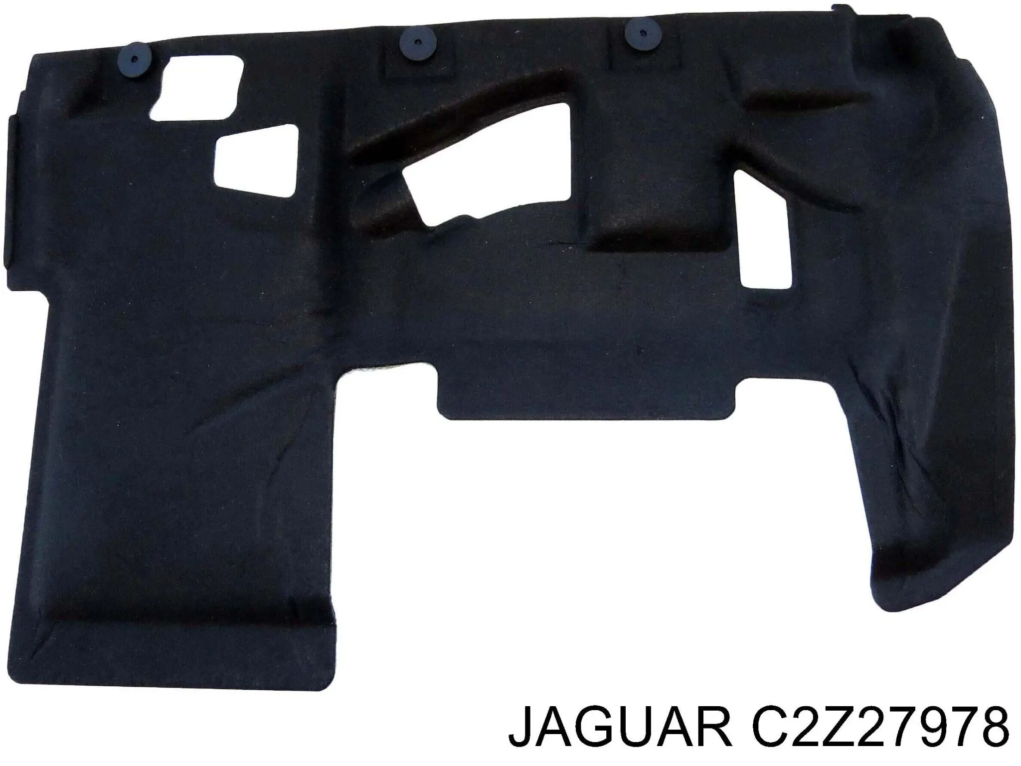 C2Z25262 Jaguar