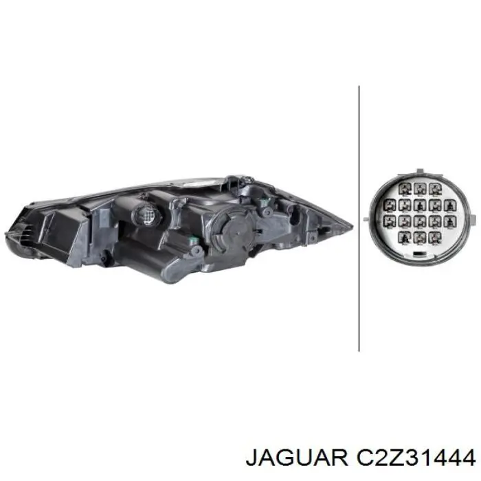 C2Z31444 Jaguar