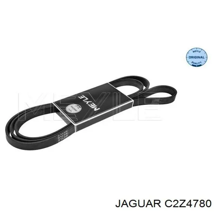 Correa de alternador C2Z4780 Jaguar