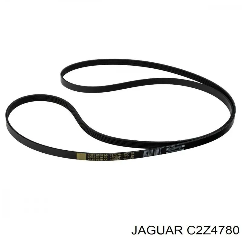 Correa de transmisión trapezoidal Jaguar C2Z4780 precio, desde 23,19 EUR
