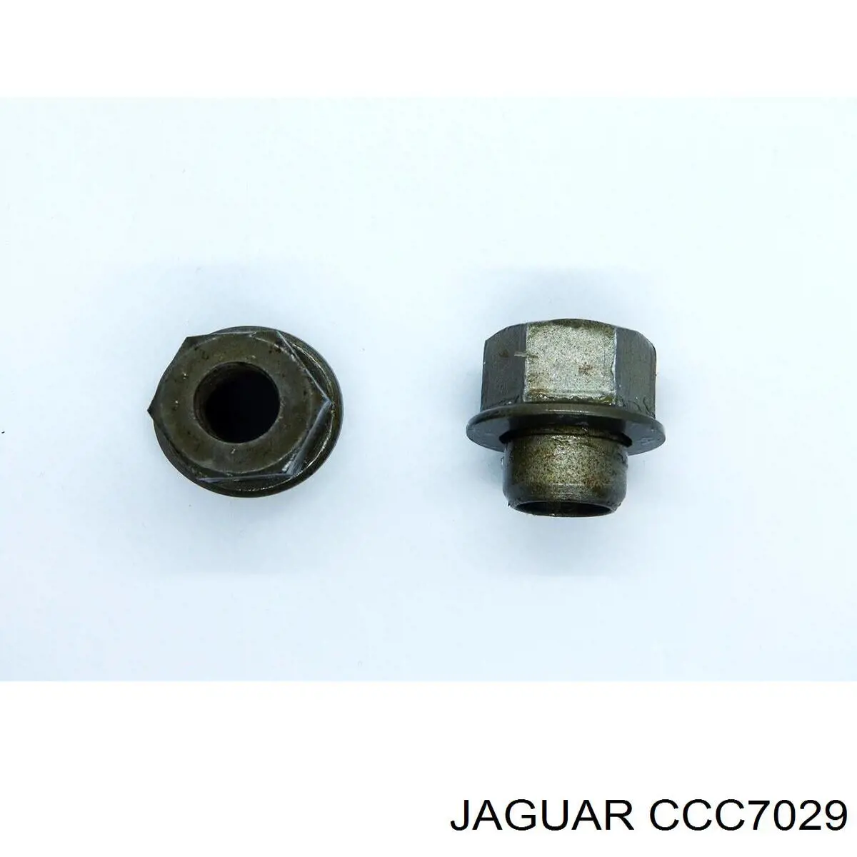 CCC7029 Jaguar 