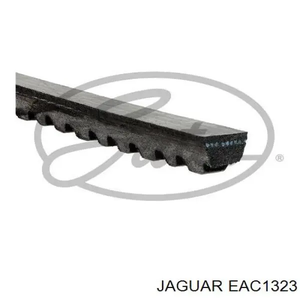 EAC1323 Jaguar correa trapezoidal