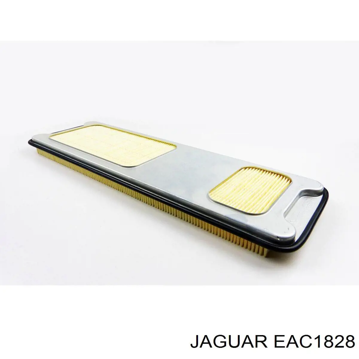 EAC1828 Jaguar
