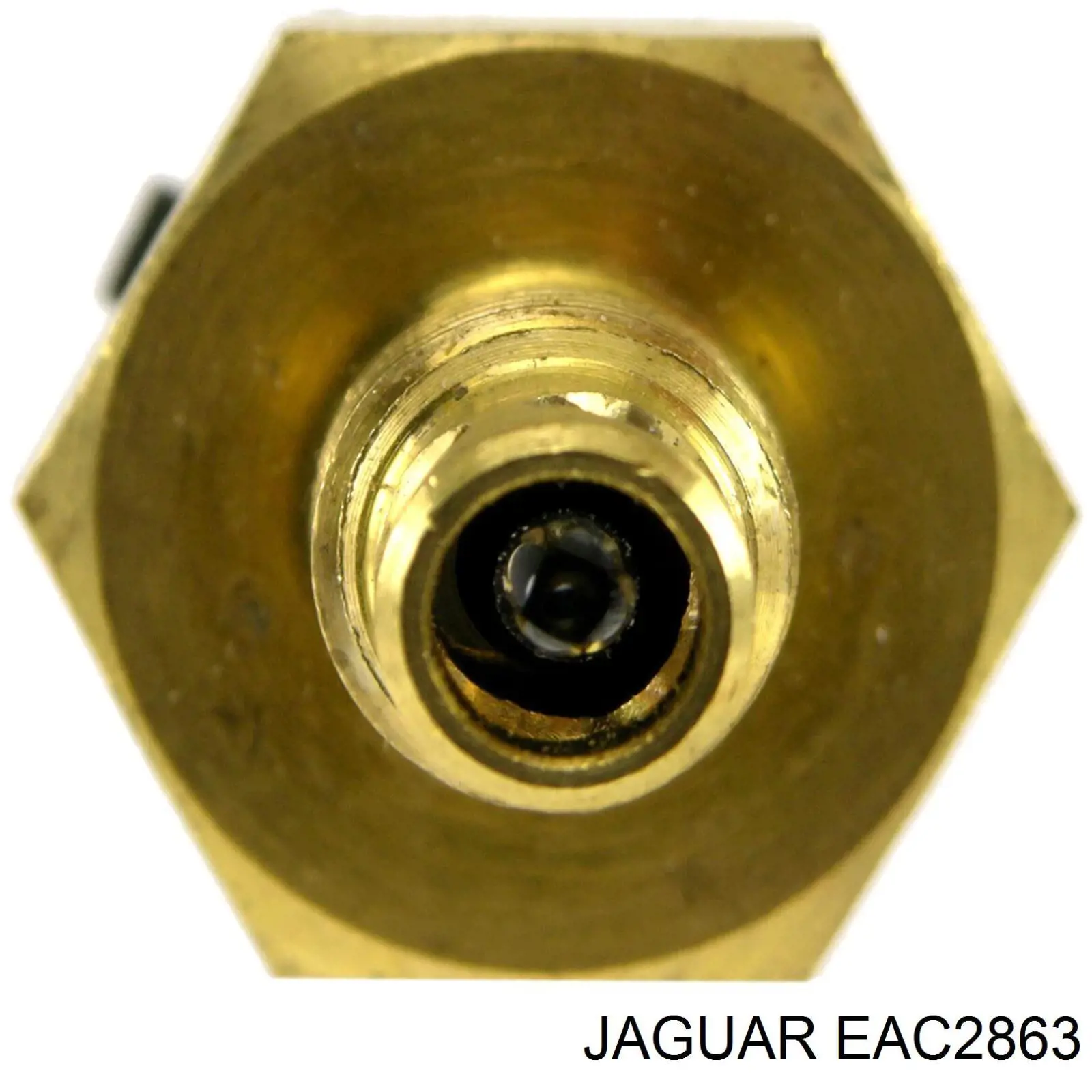 EAC2863 Jaguar