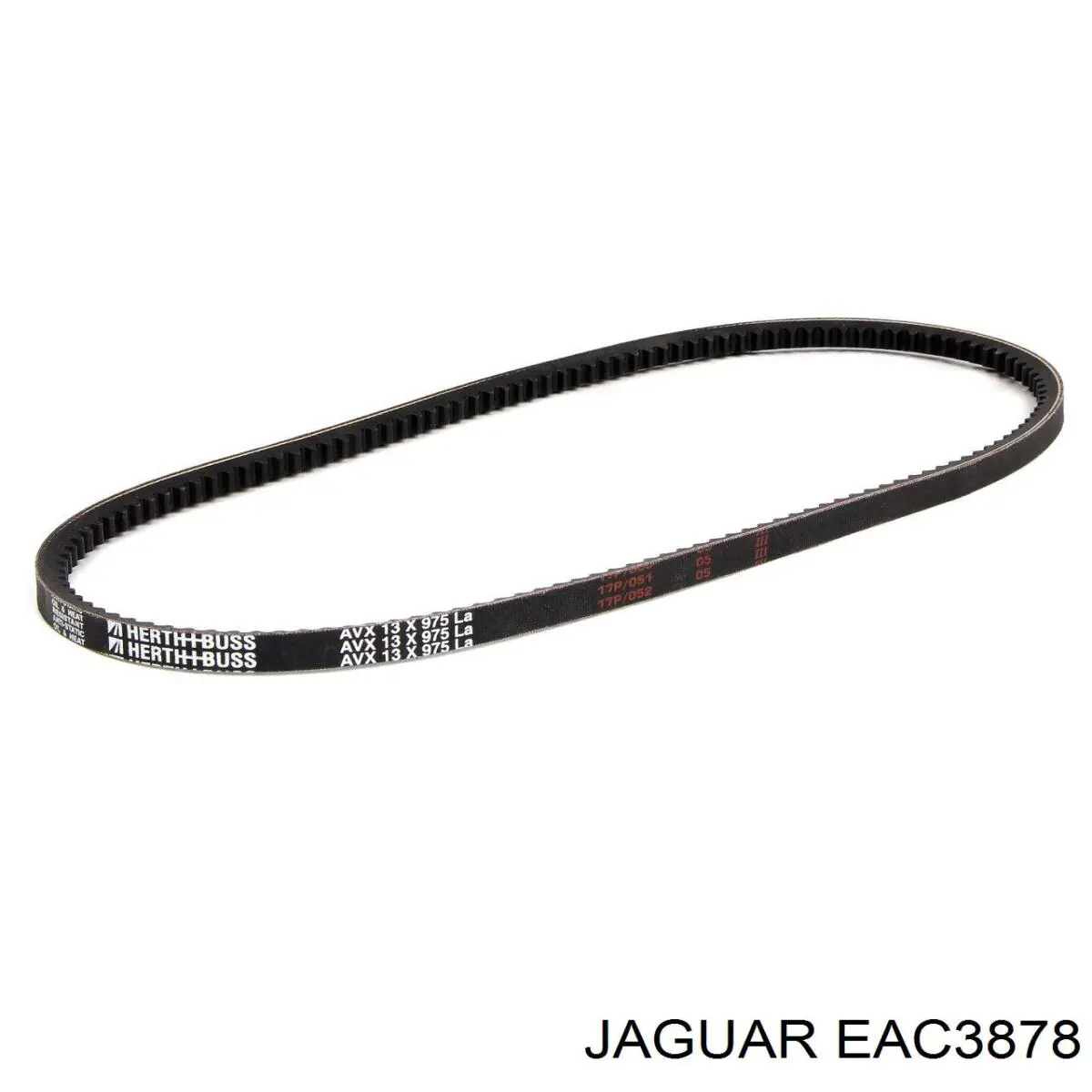 Correa trapezoidal Ford Ranger ET