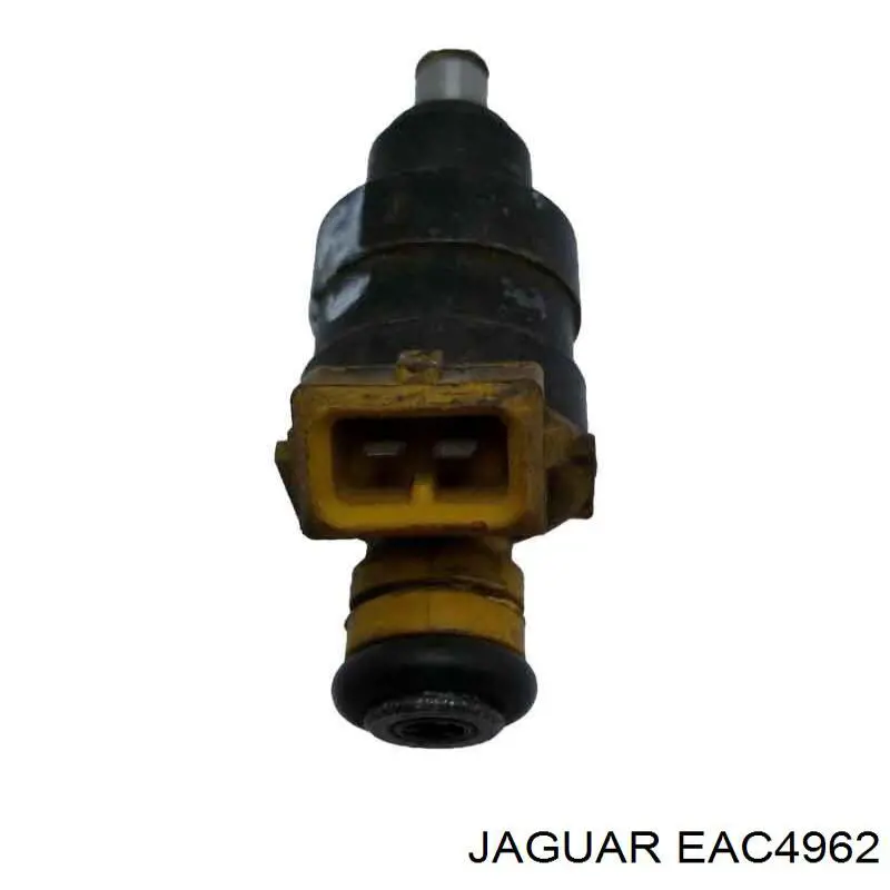 EAC4962 Jaguar